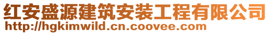 紅安盛源建筑安裝工程有限公司