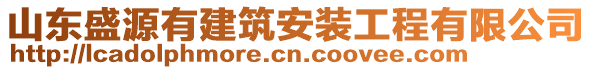 山東盛源有建筑安裝工程有限公司