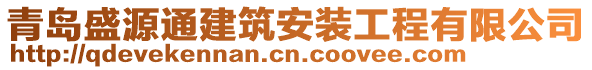 青島盛源通建筑安裝工程有限公司