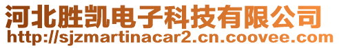 河北胜凯电子科技有限公司