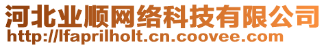 河北業(yè)順網(wǎng)絡(luò)科技有限公司