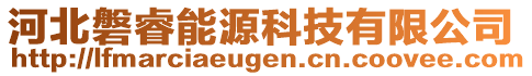 河北磐睿能源科技有限公司