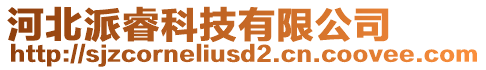 河北派睿科技有限公司