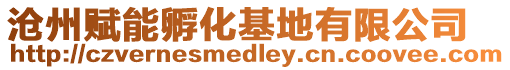 滄州賦能孵化基地有限公司