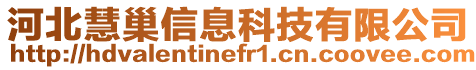 河北慧巢信息科技有限公司