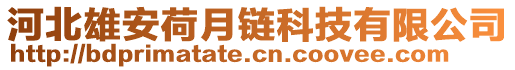 河北雄安荷月链科技有限公司