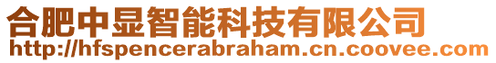 合肥中顯智能科技有限公司