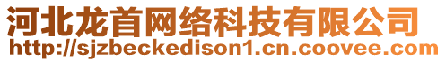 河北龍首網(wǎng)絡(luò)科技有限公司