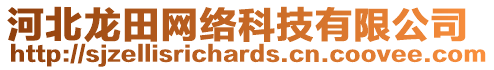 河北龍?zhí)锞W(wǎng)絡(luò)科技有限公司