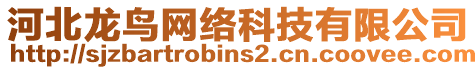 河北龍鳥(niǎo)網(wǎng)絡(luò)科技有限公司