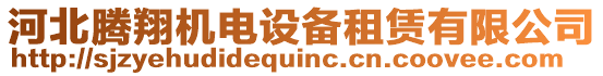 河北騰翔機電設備租賃有限公司