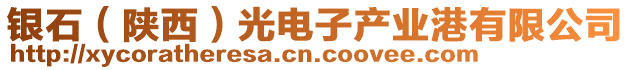 銀石（陜西）光電子產(chǎn)業(yè)港有限公司