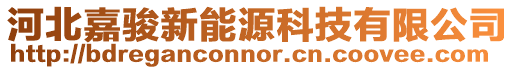 河北嘉駿新能源科技有限公司