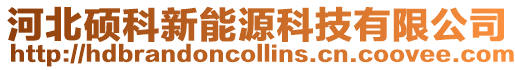 河北碩科新能源科技有限公司