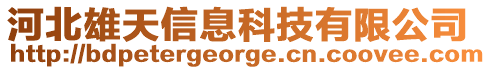 河北雄天信息科技有限公司