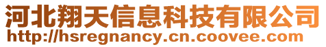 河北翔天信息科技有限公司