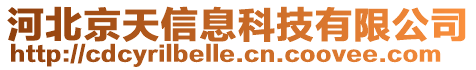 河北京天信息科技有限公司