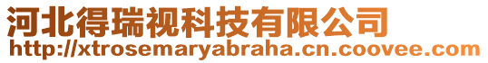 河北得瑞視科技有限公司