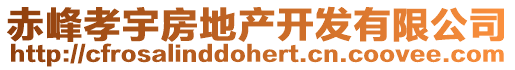 赤峰孝宇房地產(chǎn)開發(fā)有限公司