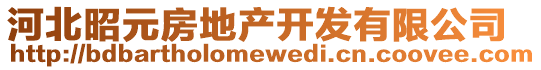 河北昭元房地產(chǎn)開發(fā)有限公司