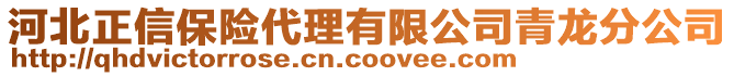 河北正信保險代理有限公司青龍分公司