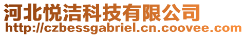 河北悅潔科技有限公司