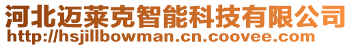 河北邁萊克智能科技有限公司