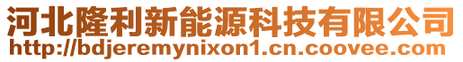 河北隆利新能源科技有限公司