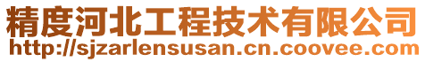 精度河北工程技術(shù)有限公司