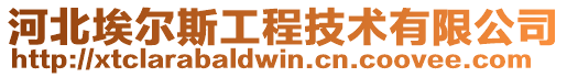 河北埃爾斯工程技術有限公司