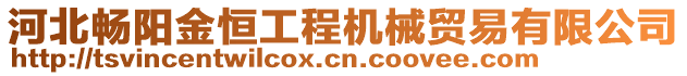 河北暢陽(yáng)金恒工程機(jī)械貿(mào)易有限公司