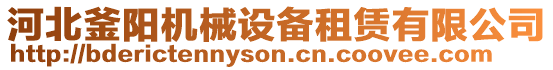 河北釜陽(yáng)機(jī)械設(shè)備租賃有限公司