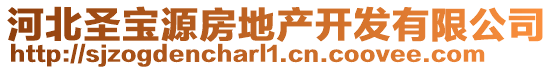 河北圣寶源房地產開發有限公司