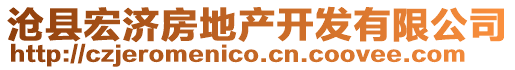 滄縣宏濟(jì)房地產(chǎn)開(kāi)發(fā)有限公司