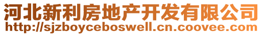 河北新利房地產(chǎn)開(kāi)發(fā)有限公司