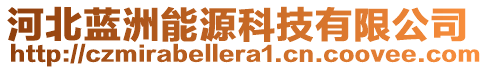 河北藍洲能源科技有限公司