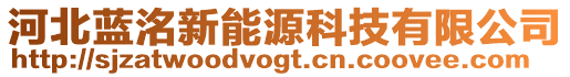 河北藍(lán)洺新能源科技有限公司