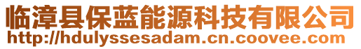 臨漳縣保藍(lán)能源科技有限公司