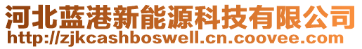 河北藍(lán)港新能源科技有限公司