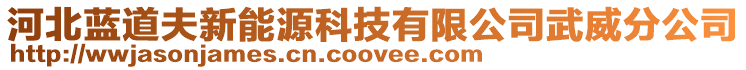 河北藍(lán)道夫新能源科技有限公司武威分公司