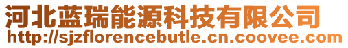 河北藍瑞能源科技有限公司