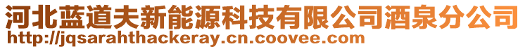 河北藍道夫新能源科技有限公司酒泉分公司