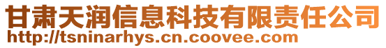 甘肅天潤(rùn)信息科技有限責(zé)任公司