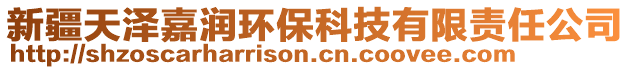 新疆天澤嘉潤(rùn)環(huán)保科技有限責(zé)任公司