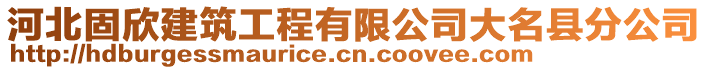 河北固欣建筑工程有限公司大名縣分公司