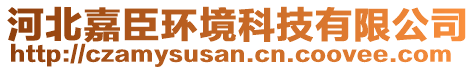 河北嘉臣環(huán)境科技有限公司