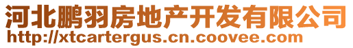 河北鵬羽房地產(chǎn)開發(fā)有限公司