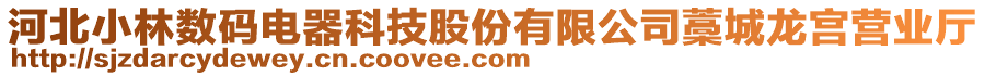 河北小林?jǐn)?shù)碼電器科技股份有限公司藁城龍宮營(yíng)業(yè)廳