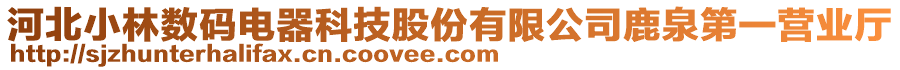 河北小林?jǐn)?shù)碼電器科技股份有限公司鹿泉第一營(yíng)業(yè)廳