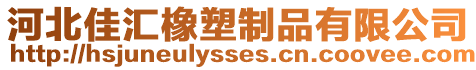 河北佳匯橡塑制品有限公司